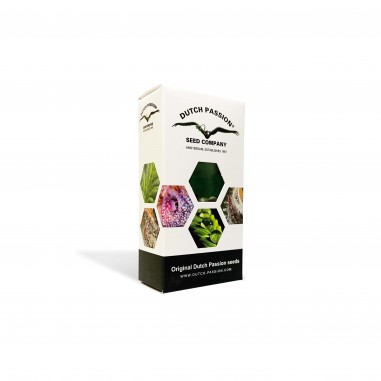 Jorge’s Diamonds 1 feminized cannabis seeds