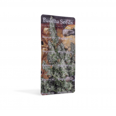 Autoflowering marijuana seeds Magnum