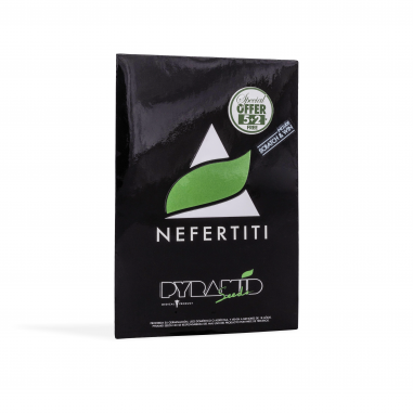 Feminized cannabis seeds Nefertiti pyramid seeds