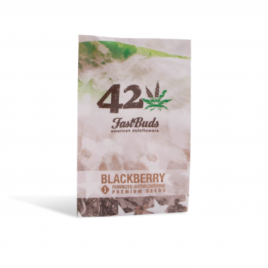 Marijuana seeds Blackberry