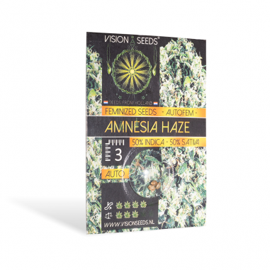 Autoflower cannabis seeds Amnesia Haze Auto