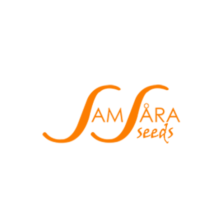 Samsara seeds
