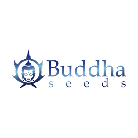 Buddha seeds