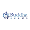 Manufacturer - Buddha seeds